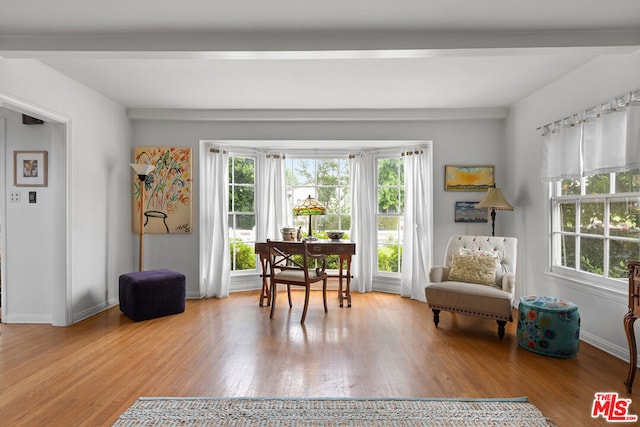 living area with wood-type flooring