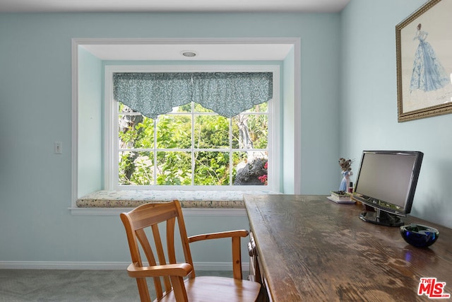 dining area with carpet floors