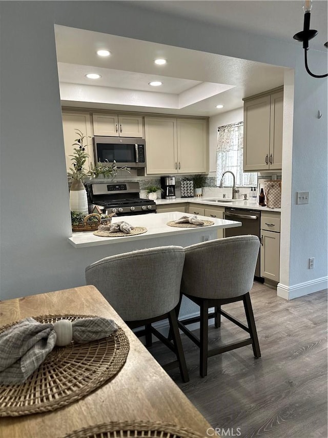 kitchen featuring sink, dark hardwood / wood-style flooring, decorative backsplash, a tray ceiling, and stainless steel appliances