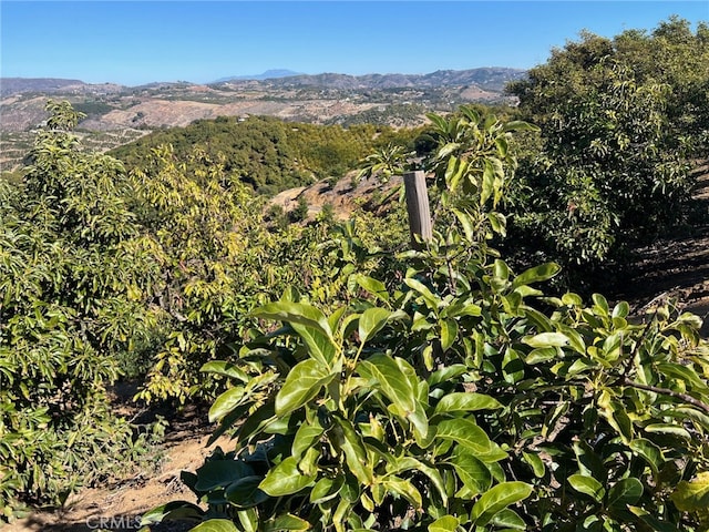 45811 Camaron Rd, Temecula, CA 92590