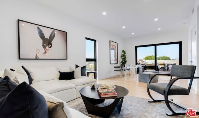 living room featuring light wood-type flooring