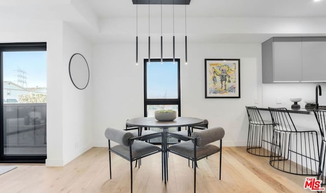 dining room with light hardwood / wood-style flooring