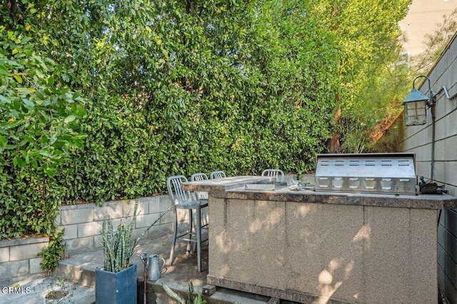 view of patio with area for grilling, grilling area, and an outdoor bar