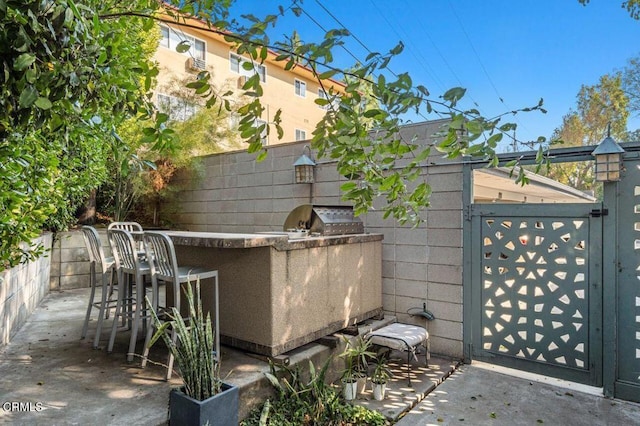 view of patio with area for grilling and an outdoor bar