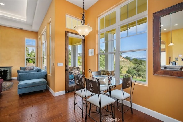 dining space with plenty of natural light and dark hardwood / wood-style floors