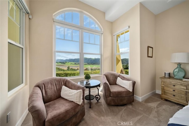 sitting room featuring light carpet and a mountain view