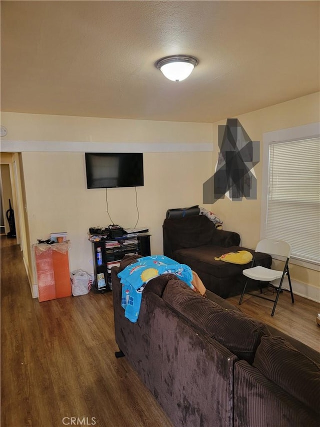 living room featuring wood-type flooring