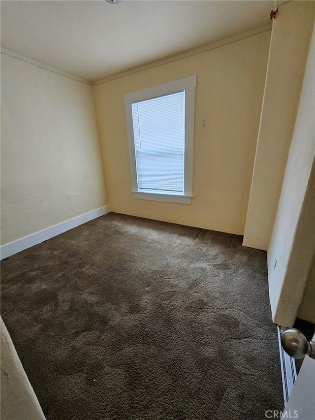 spare room with carpet