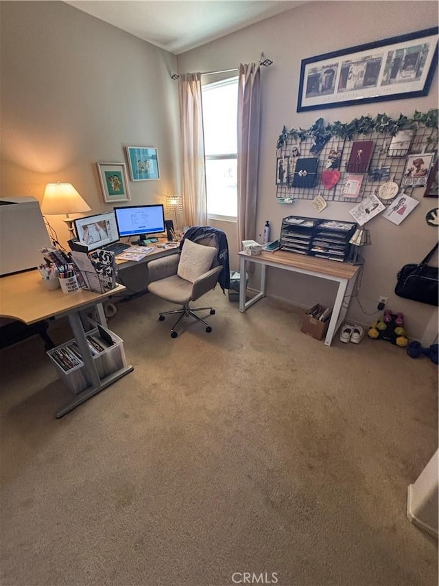 office space with carpet flooring