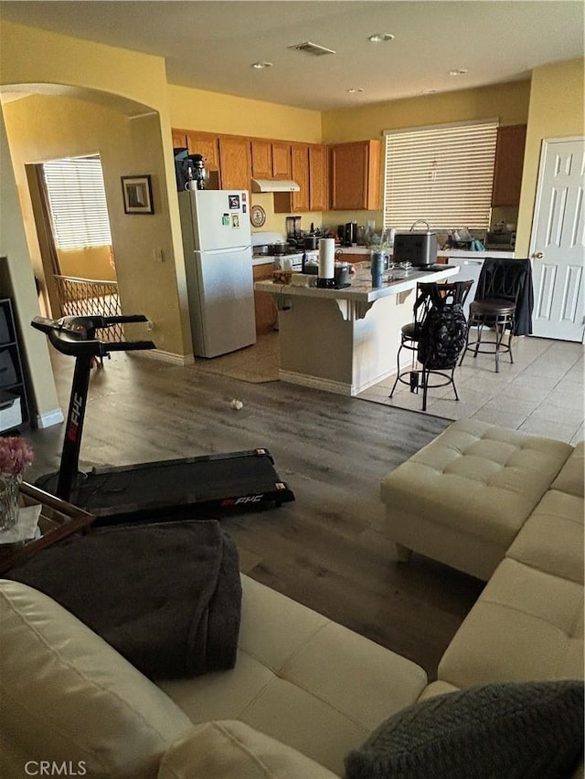 living room with light hardwood / wood-style floors