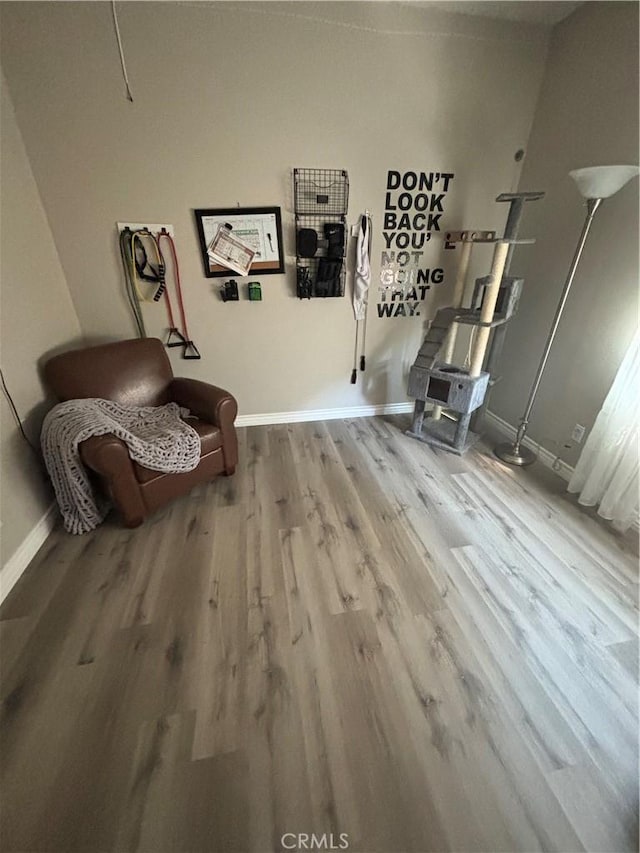 sitting room with hardwood / wood-style floors