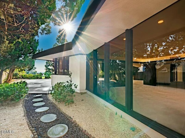 view of yard featuring a patio area