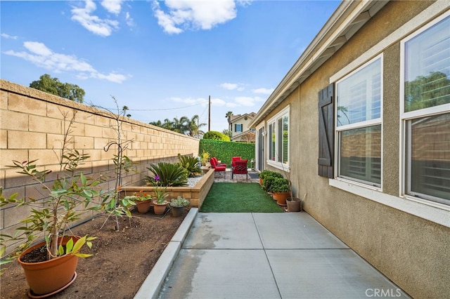 view of yard featuring a patio