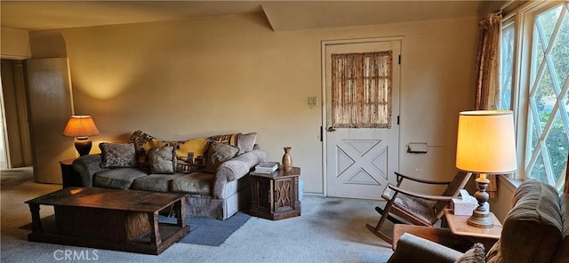 living room with a healthy amount of sunlight and carpet floors