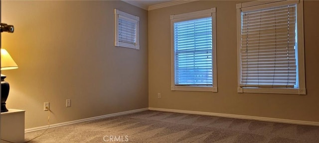 carpeted empty room featuring ornamental molding