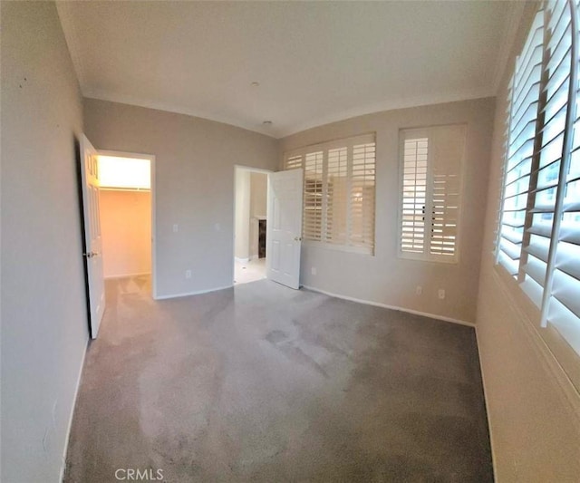 interior space featuring carpet floors