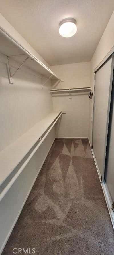 spacious closet with dark colored carpet