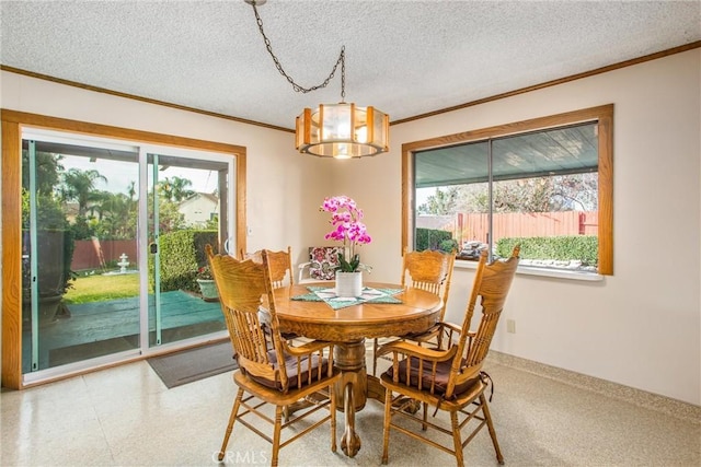 dining space with crown molding, a wealth of natural light, and a textured ceiling