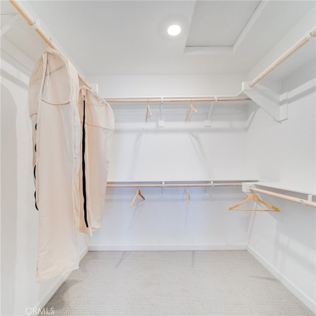 view of spacious closet