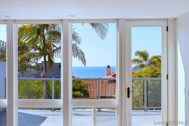 doorway featuring plenty of natural light and a water view