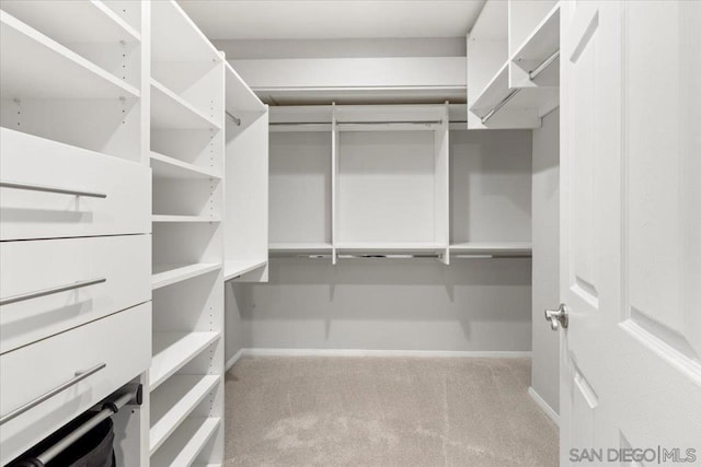 walk in closet with light carpet