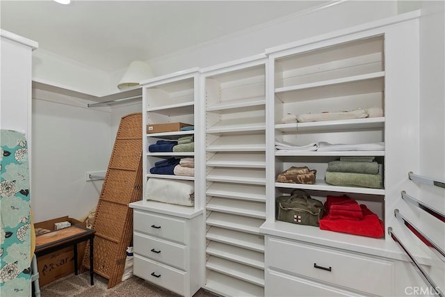 spacious closet with carpet