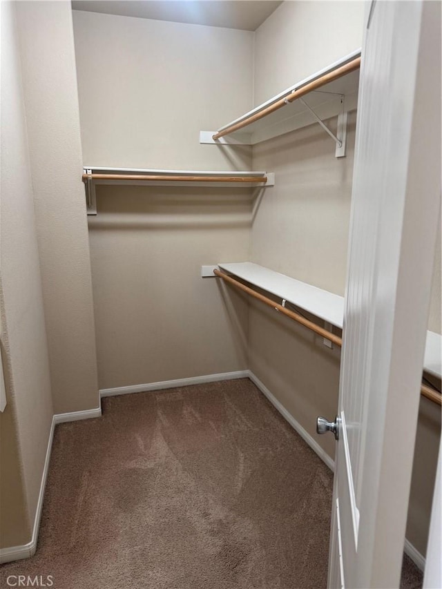 spacious closet with carpet flooring