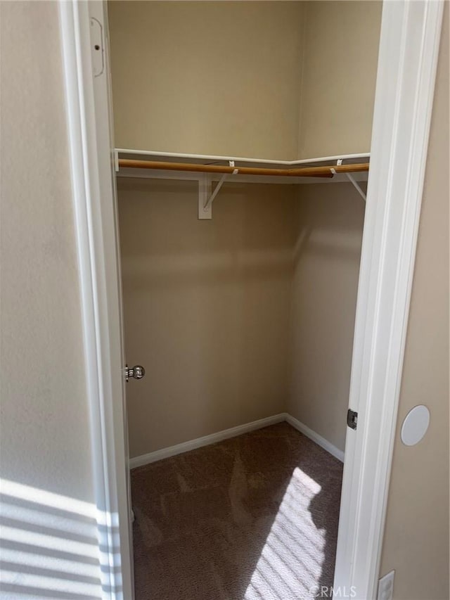 spacious closet with carpet floors