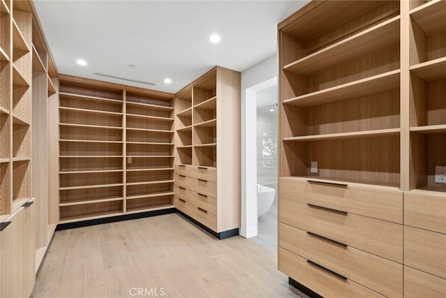spacious closet with light hardwood / wood-style flooring