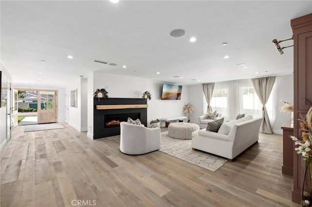 living room featuring light hardwood / wood-style floors