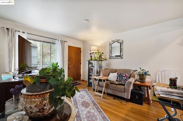 living room featuring wood-type flooring