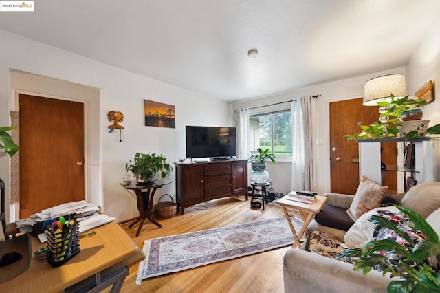 living room with light wood-type flooring