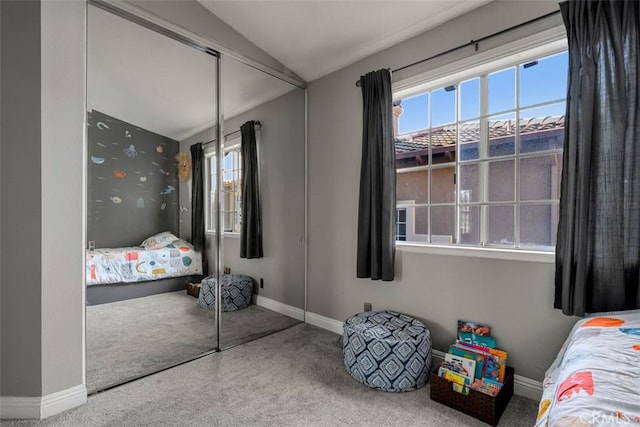 bedroom featuring a closet, carpet flooring, and multiple windows