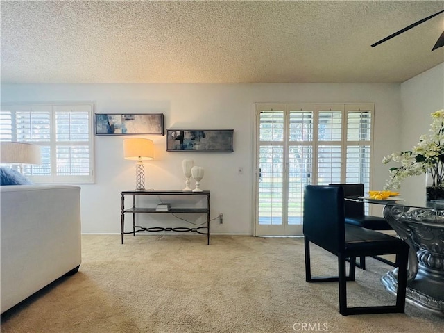 interior space featuring ceiling fan, a wealth of natural light, and a textured ceiling