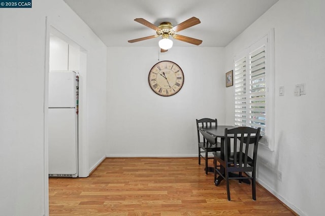 dining space with ceiling fan and light hardwood / wood-style flooring