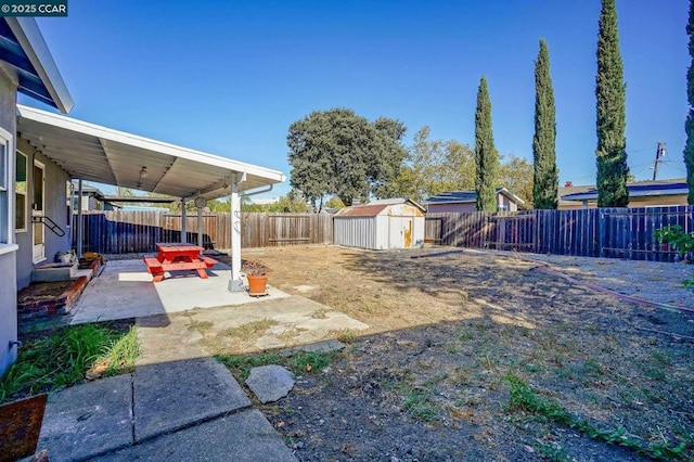 view of yard with a patio area and a storage unit