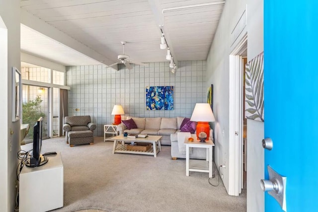 carpeted living room with ceiling fan, rail lighting, and tile walls