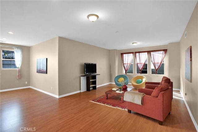 living room featuring hardwood / wood-style floors