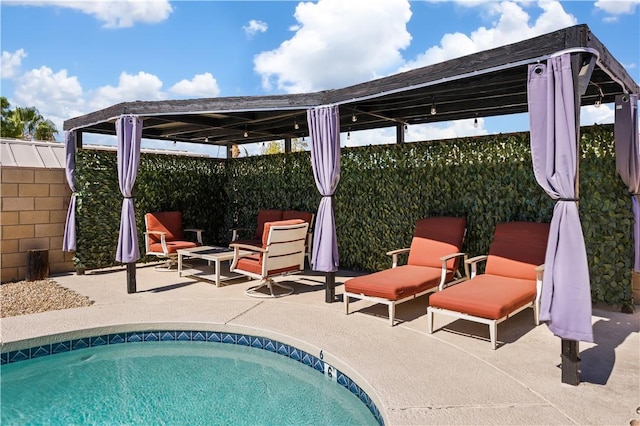 view of pool with a patio area