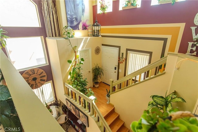 stairway featuring hardwood / wood-style floors