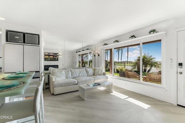 living room with light hardwood / wood-style flooring