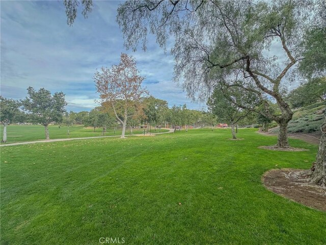 view of yard featuring a rural view