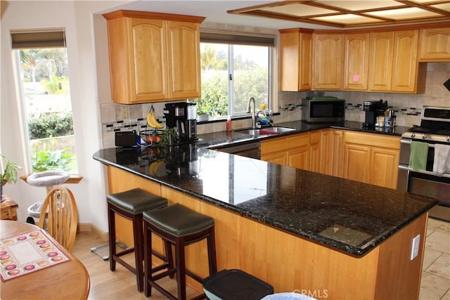 kitchen with dark stone countertops, sink, tasteful backsplash, and stainless steel appliances