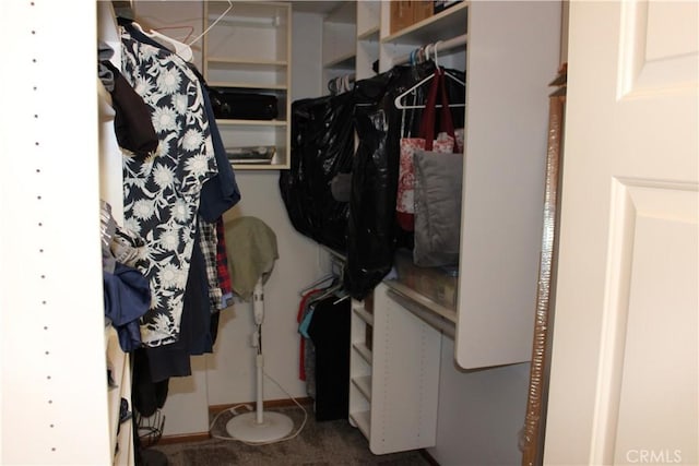 spacious closet with carpet