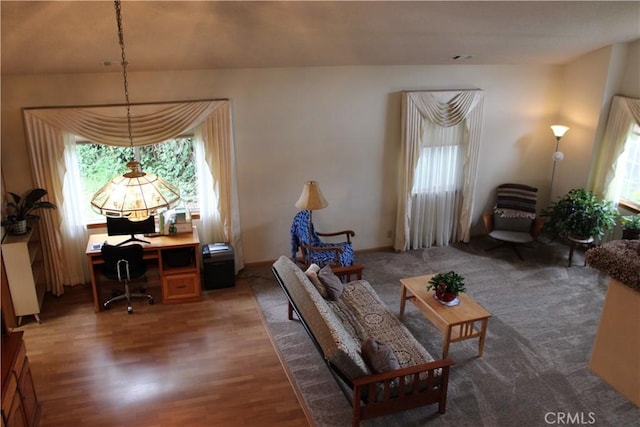 interior space with a healthy amount of sunlight and dark hardwood / wood-style flooring