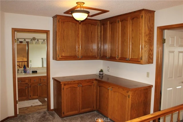 kitchen with sink and dark colored carpet