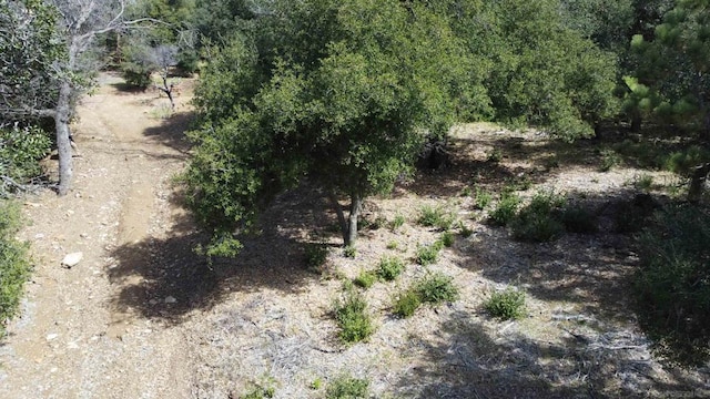 Listing photo 3 for 2716 Payson Dr, Julian CA 92036