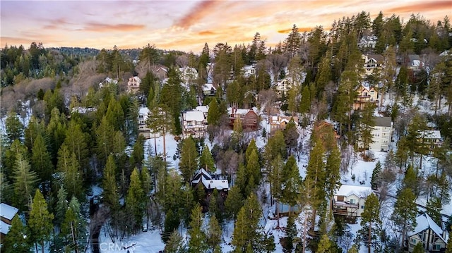 view of snowy aerial view