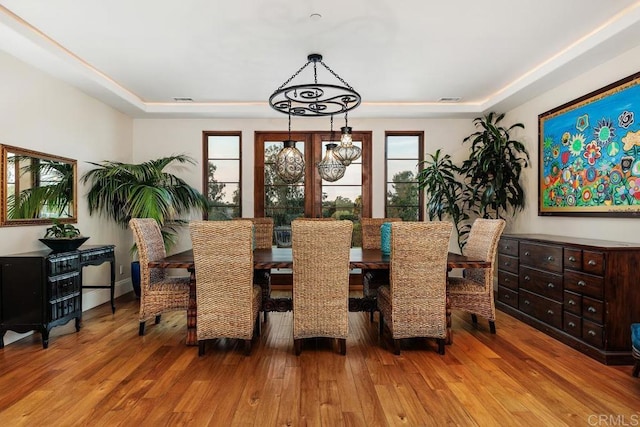 dining room with a raised ceiling and hardwood / wood-style floors