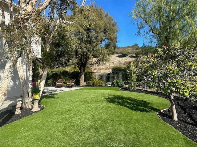 view of yard featuring a patio area